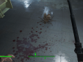 Fallout4 2015-11-10 01-16-36-20.png